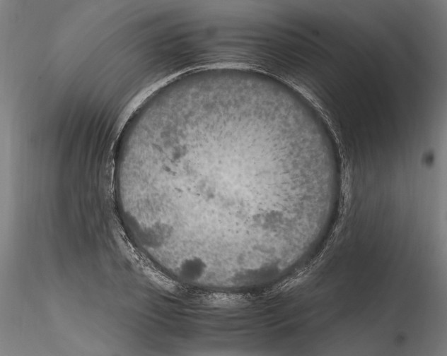 X0000114600933200911301420