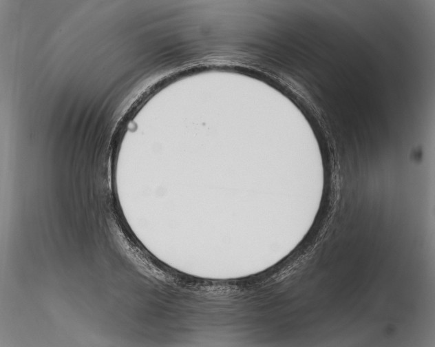 X0000114600934200911301420