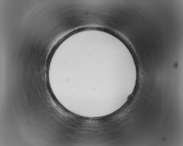 X0000114600935200911301420