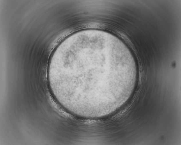 X0000114600938200911301420