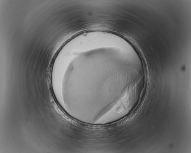 X0000114600941200911301420