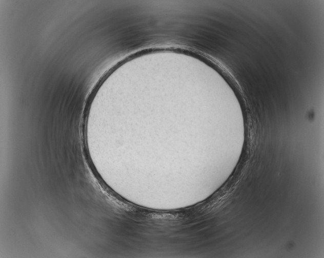 X0000114600943200911301420