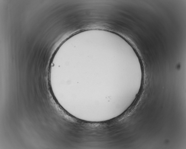 X0000114600949200911301420