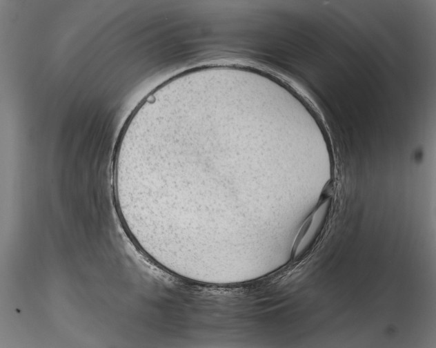 X0000114600951200911301420