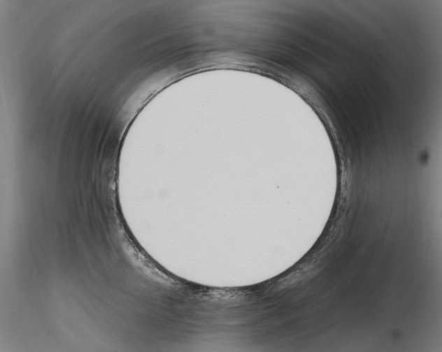 X0000114600954200911301420