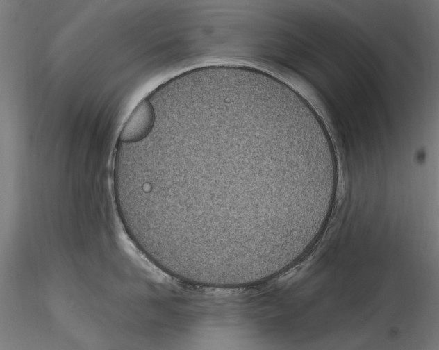 X0000114600958200911301420