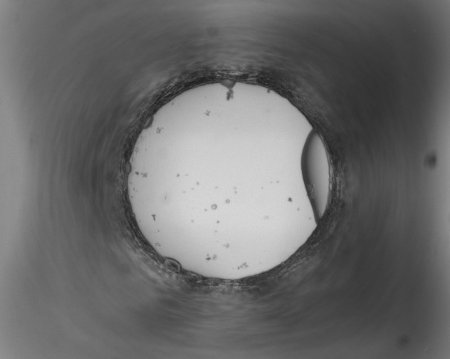 X0000114600961200911301419