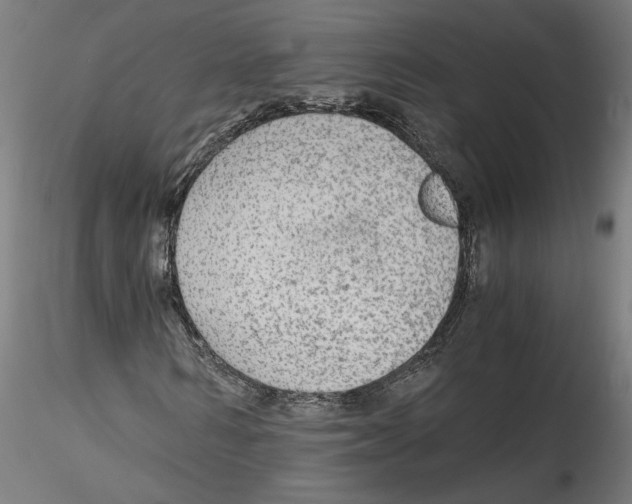 X0000114600962200911301419