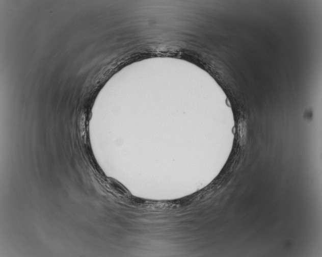 X0000114600963200911301419