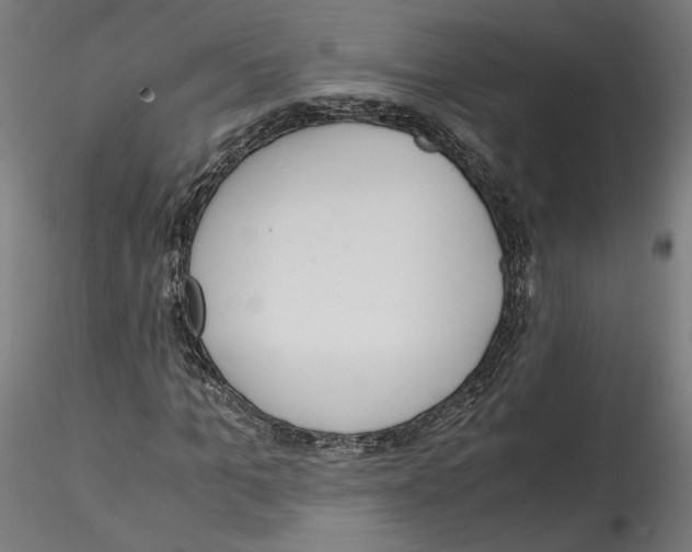 X0000114600965200911301419