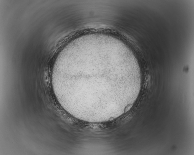 X0000114600966200911301419