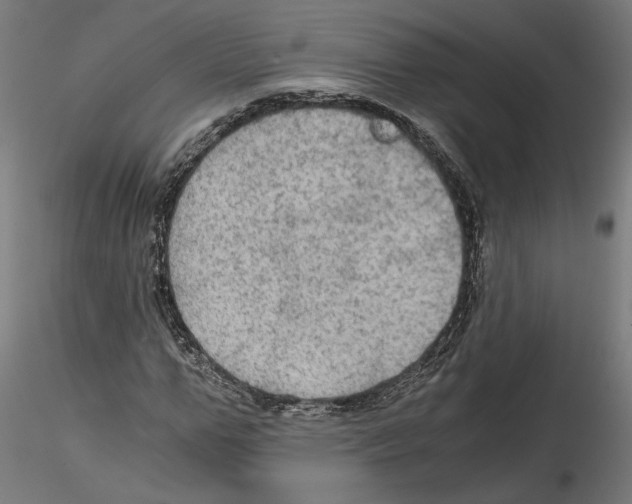 X0000114600967200911301419