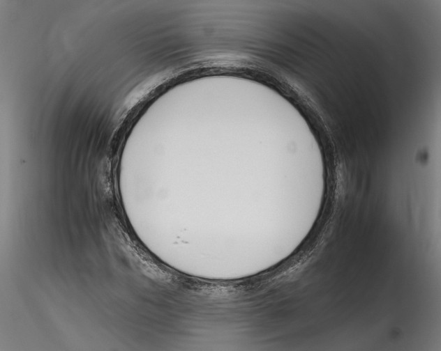 X0000114600970200911301419