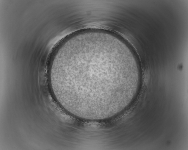 X0000114600971200911301419