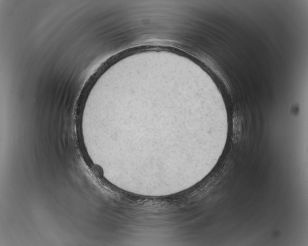 X0000114600972200911301419