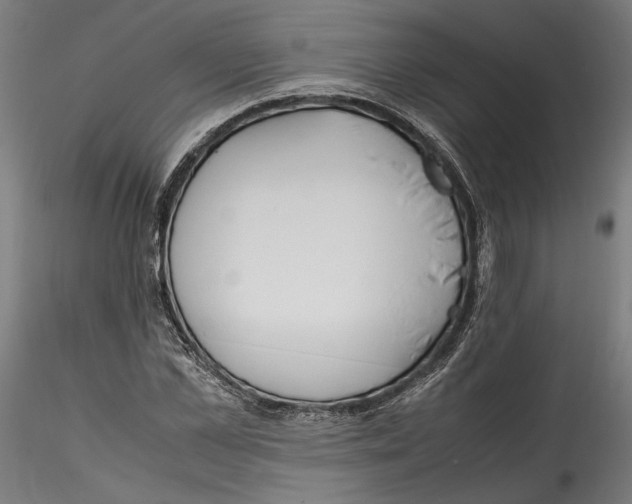 X0000114600973200911301419