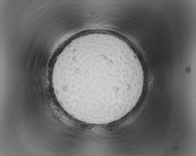 X0000114600974200911301419