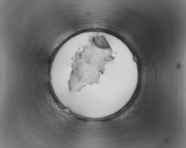 X0000114600977200911301419