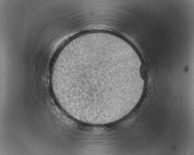 X0000114600979200911301419