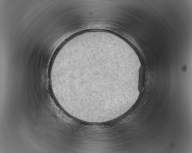 X0000114600980200911301419