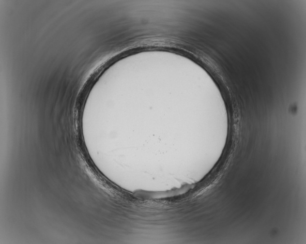 X0000114600981200911301419