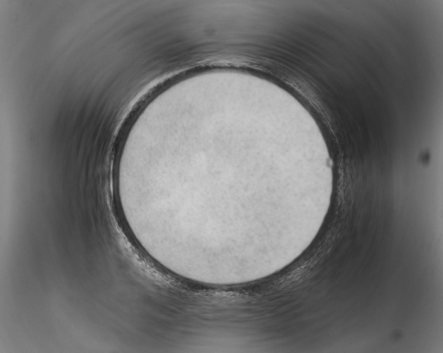 X0000114600984200911301419