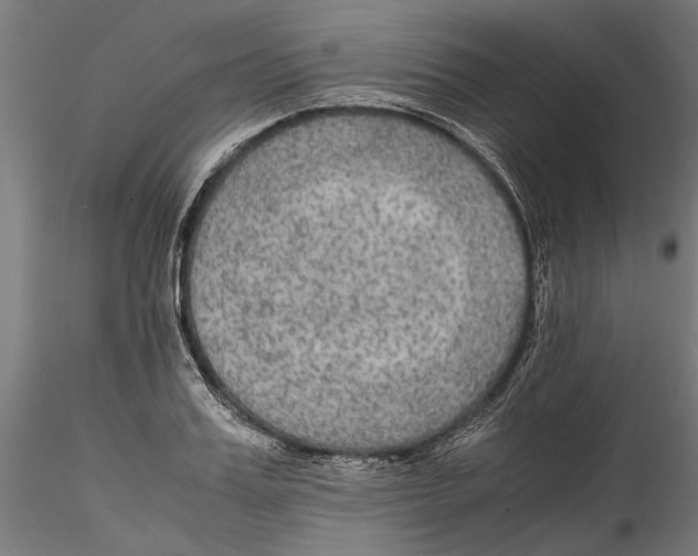 X0000114600987200911301419