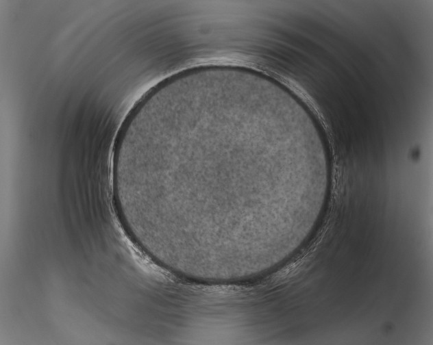 X0000114600988200911301419