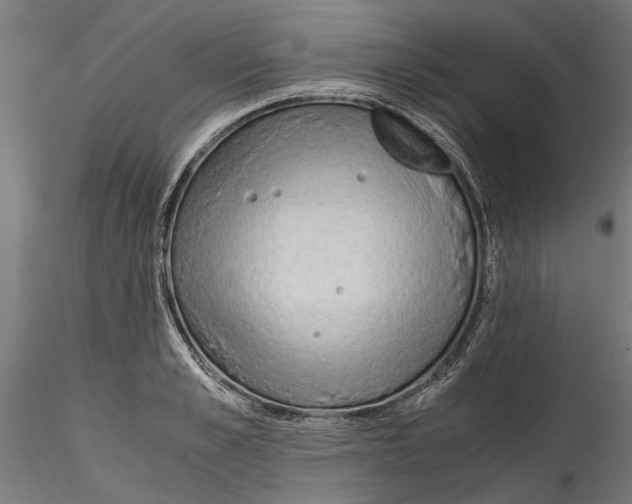 X0000114600989200911301419