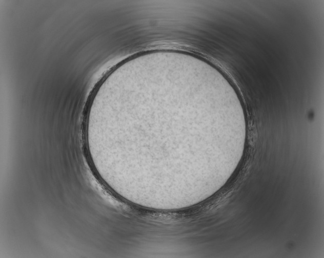 X0000114600995200911301419