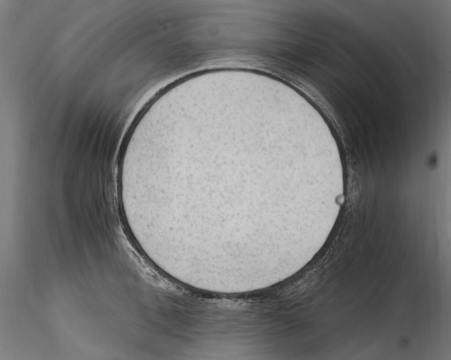 X0000114600996200911301419