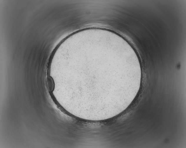 X0000114600999200911301419