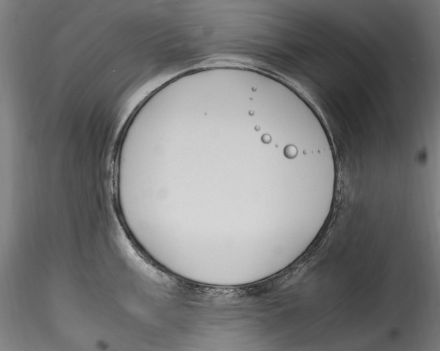 X0000114601003200911301419