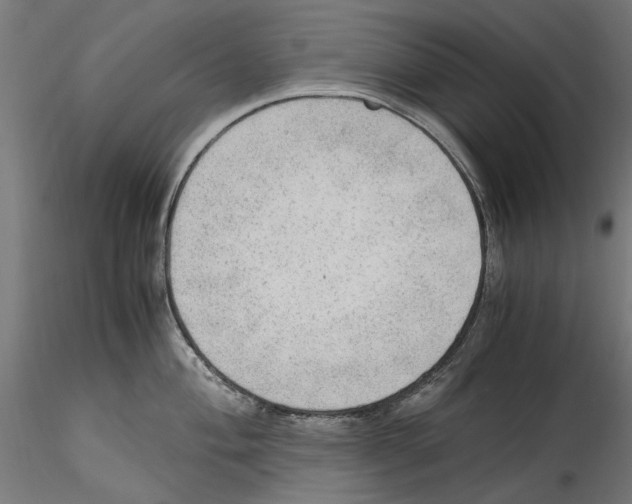 X0000114601004200911301419