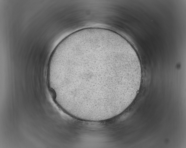 X0000114601007200911301419