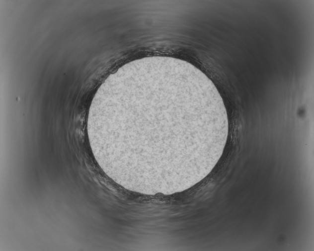 X0000114601010200911301418