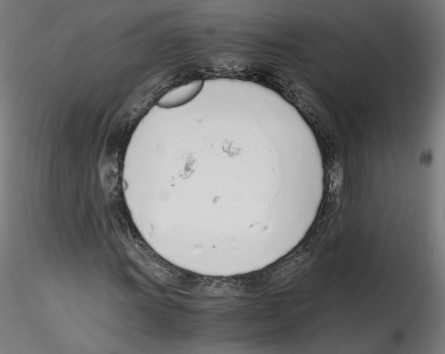 X0000114601011200911301418