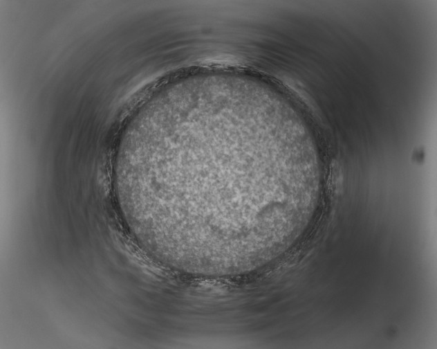 X0000114601015200911301418