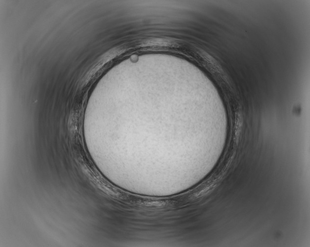 X0000114601017200911301418