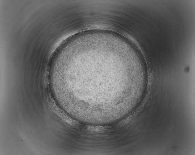 X0000114601019200911301418