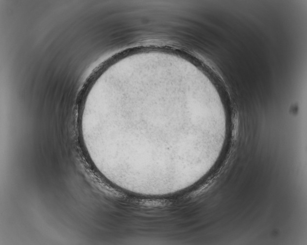 X0000114601021200911301418