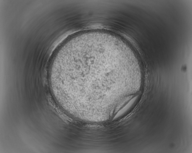 X0000114601023200911301418