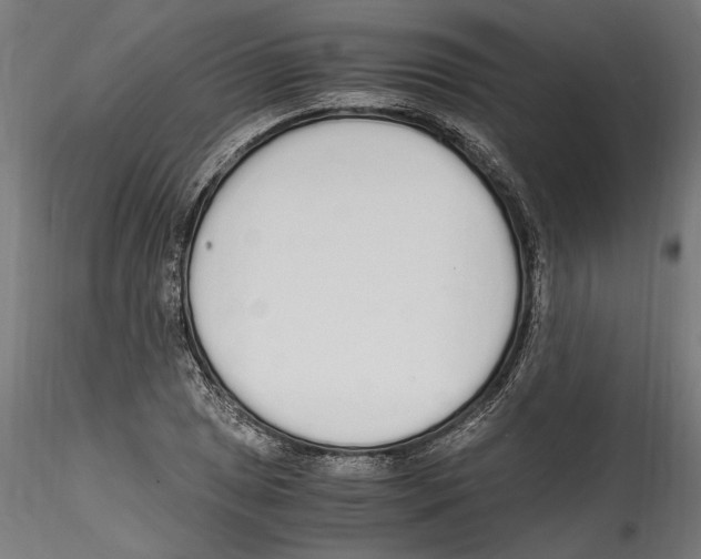 X0000114601025200911301418