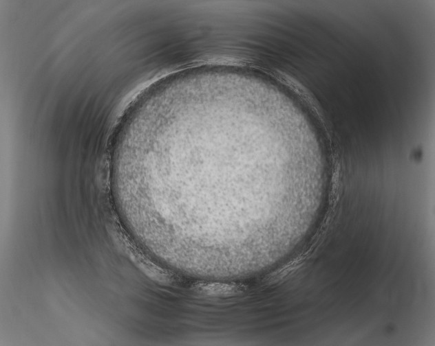 X0000114601027200911301418