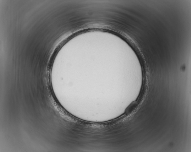 X0000114601029200911301418