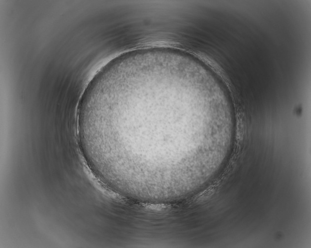 X0000114601031200911301418