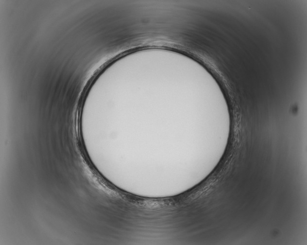 X0000114601032200911301418