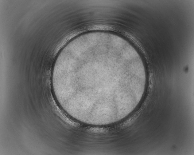 X0000114601033200911301418