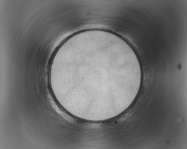 X0000114601038200911301418