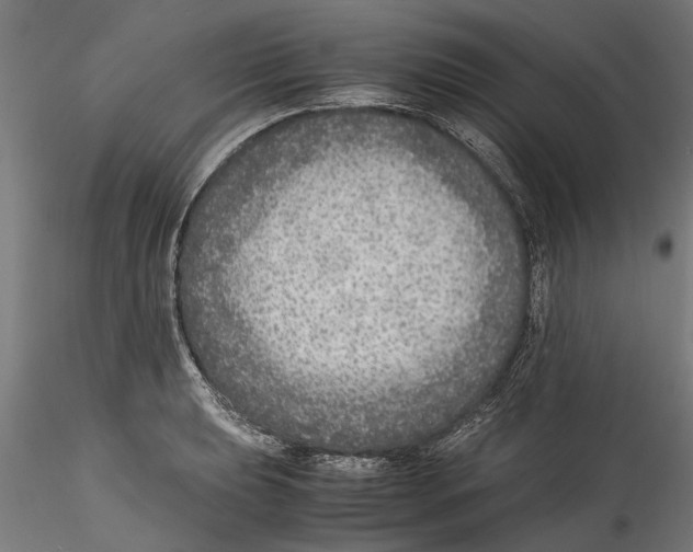 X0000114601039200911301418